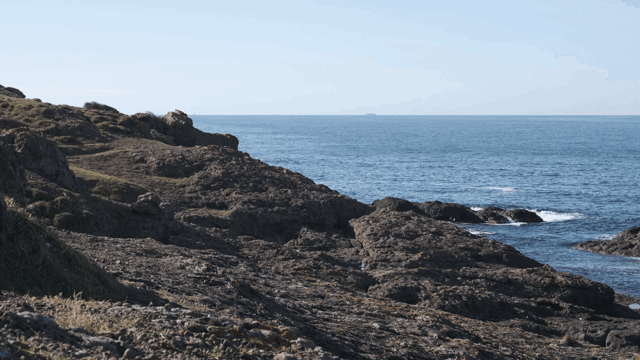 Birds resting on these rocks